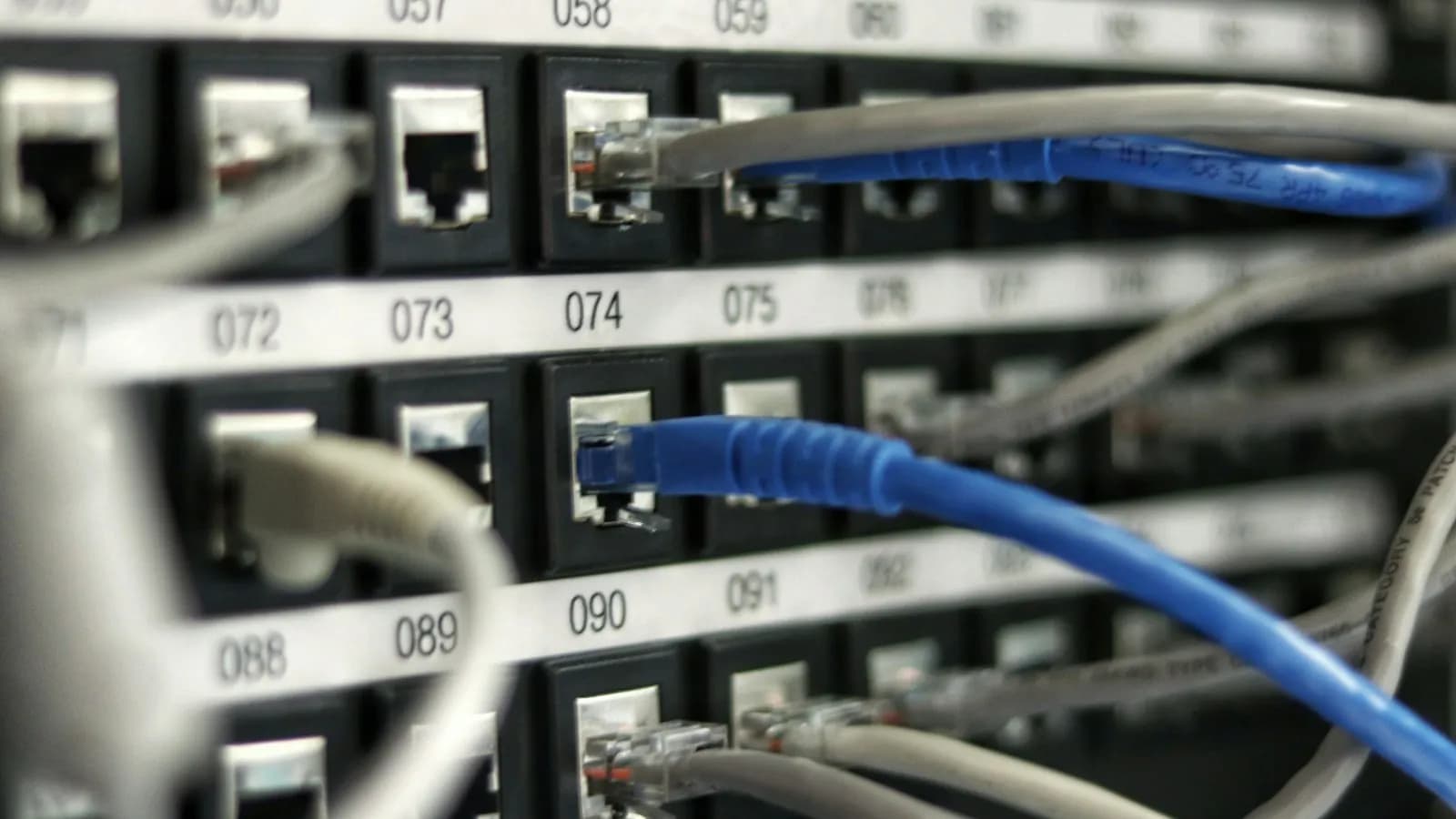 Blue network cables plugged into a numbered patch panel