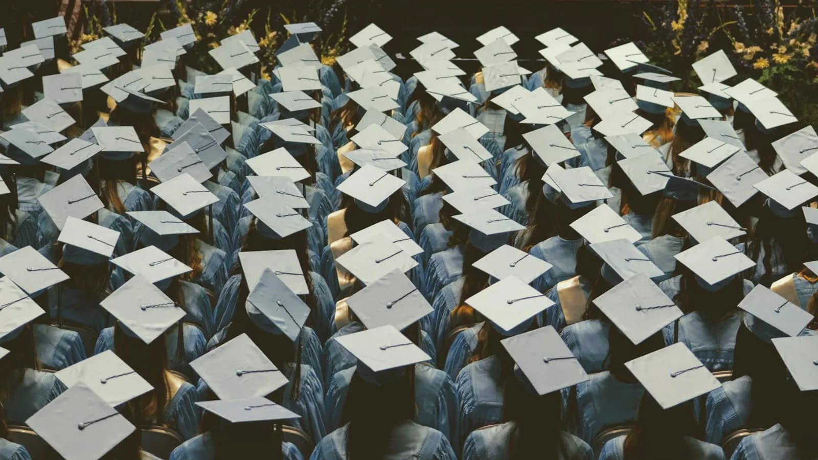 A large group of graduates in gowns and caps at a ceremony